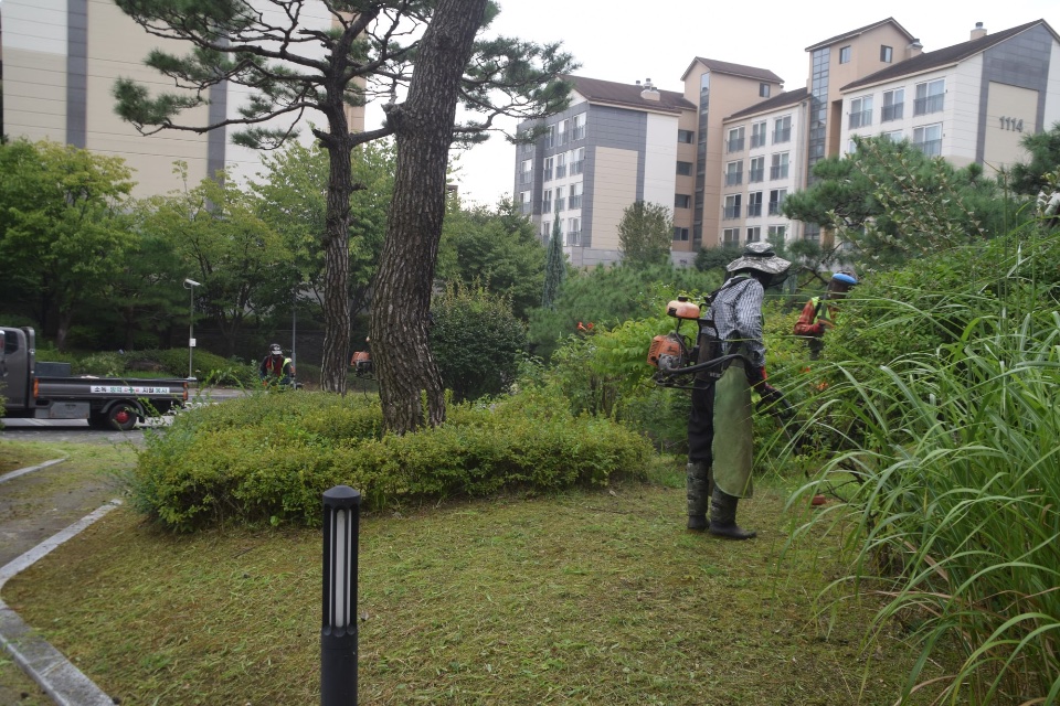 예초 작업 중