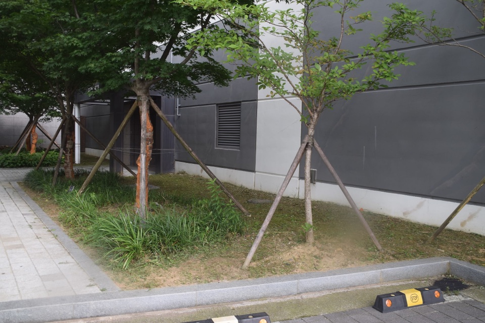예초 작업 후