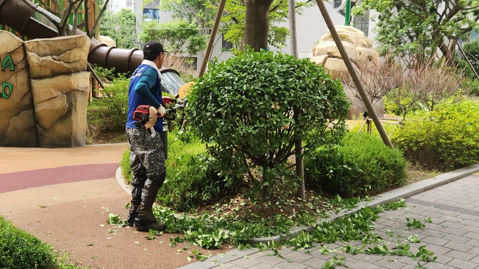관목 전정 작업 중
